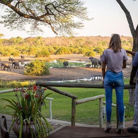 Elephant Valley Lodge Lesoma 外观 照片